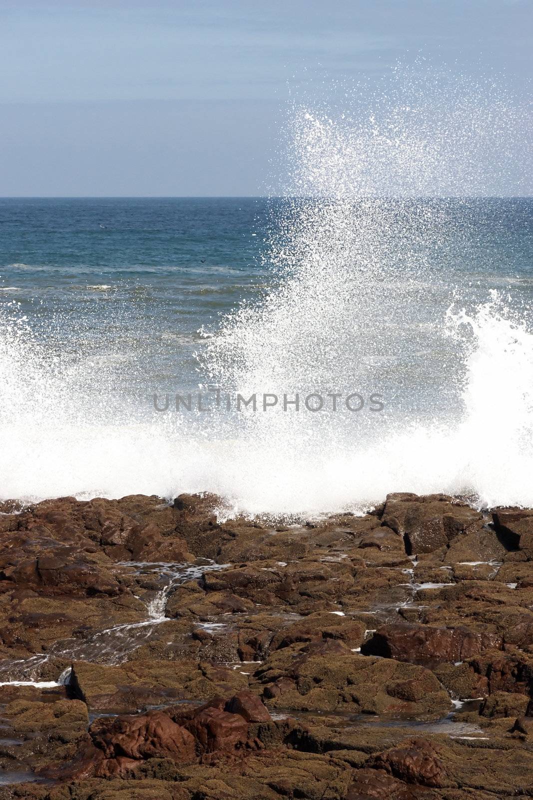 Pacific Ocean. Wave crashing on the shore at Arica harbor, Chile