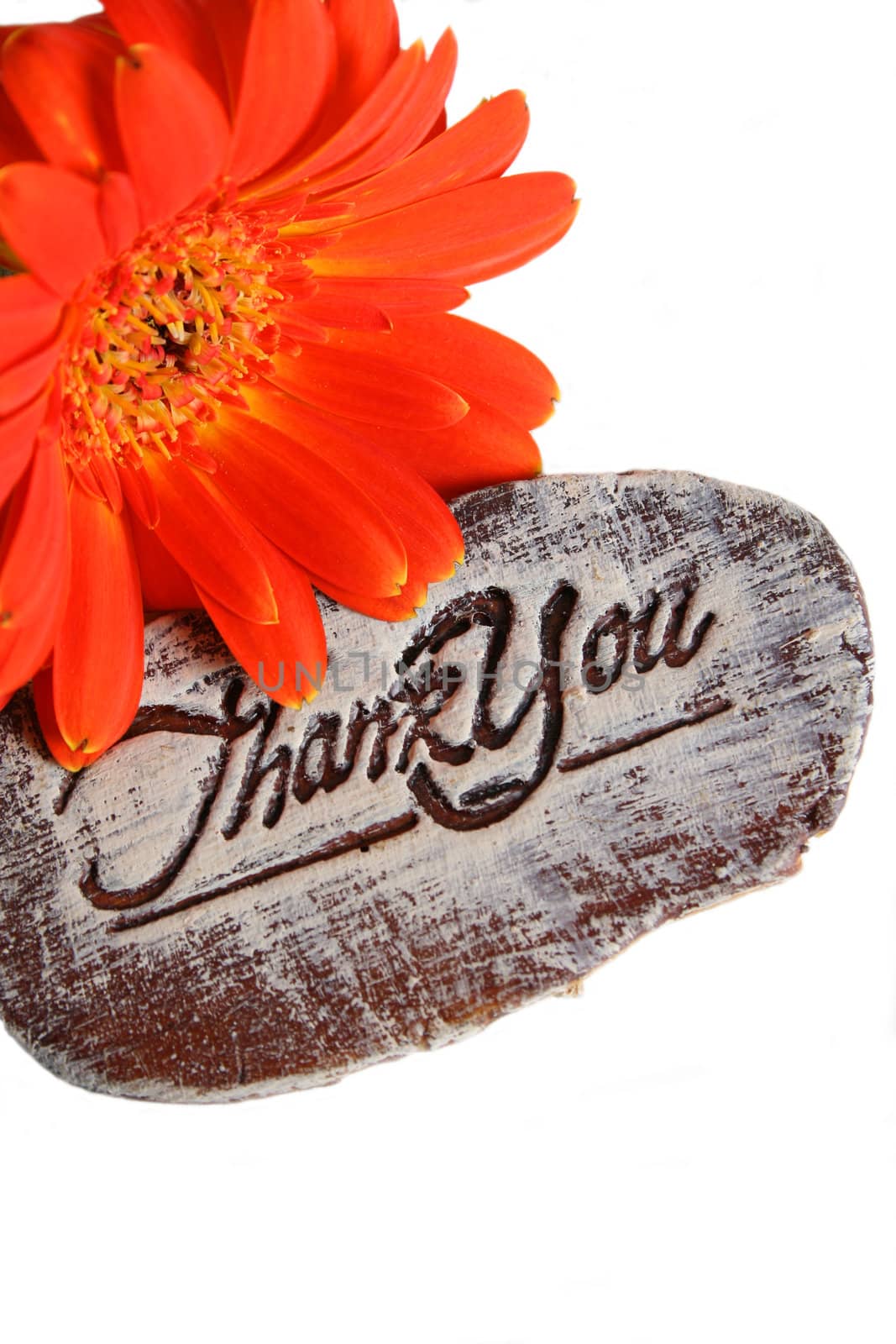 Wooden sign saying Thank You and a flower