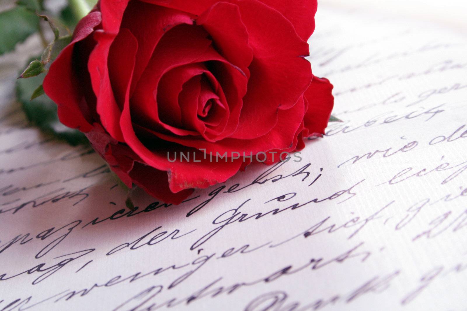 rose and letter