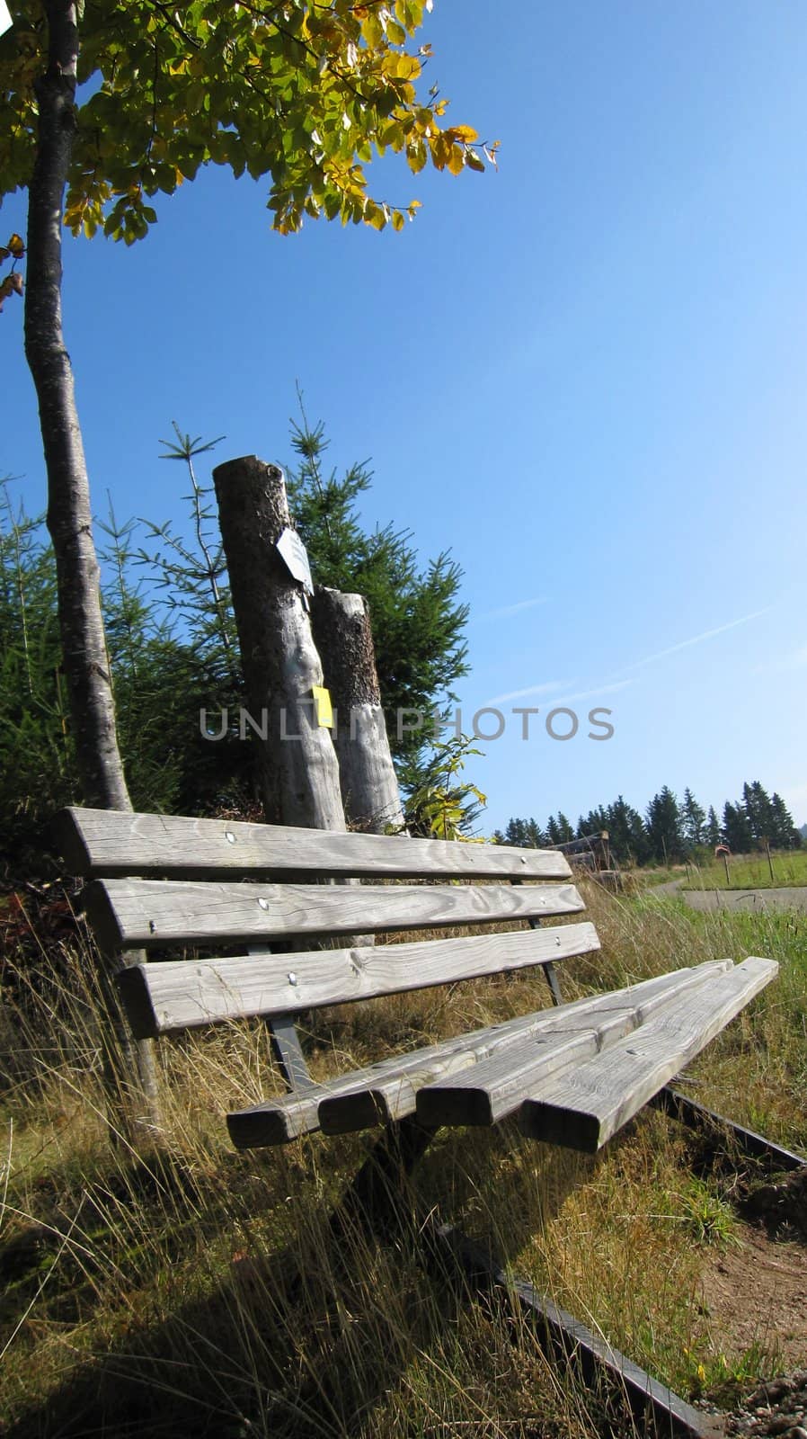 bench