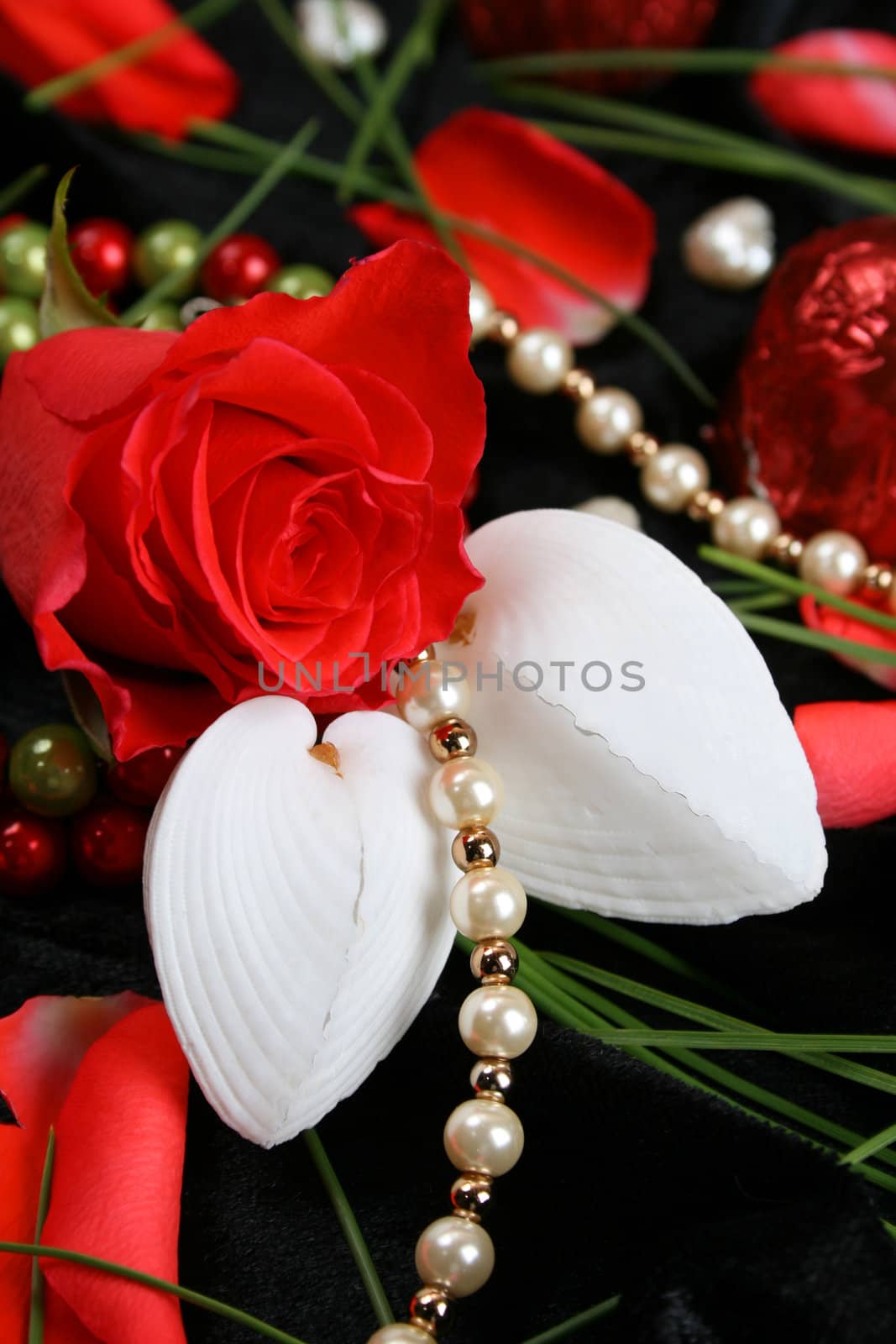 Red rose with petals, chocolates, seashells and a string of pearls