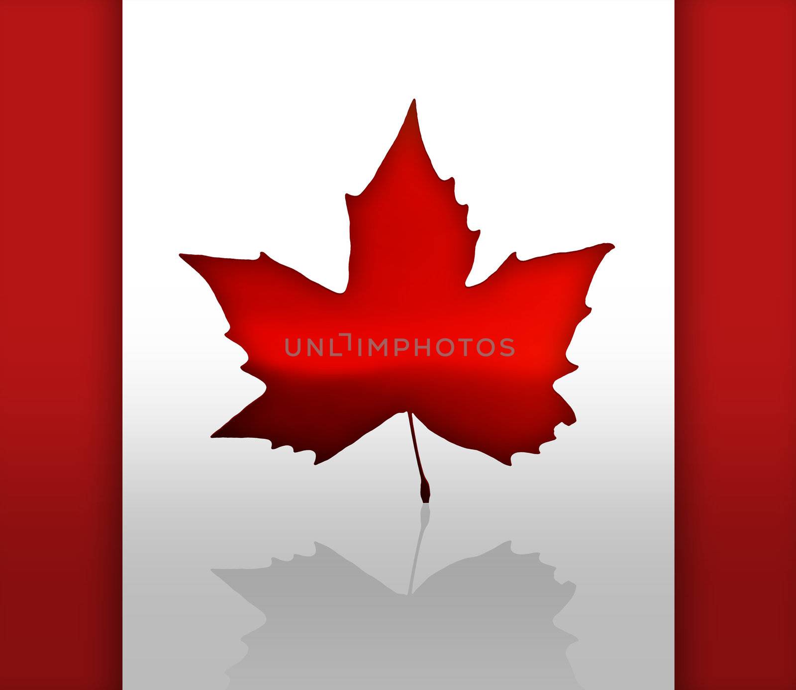 The Flag of Canada with maple leaves