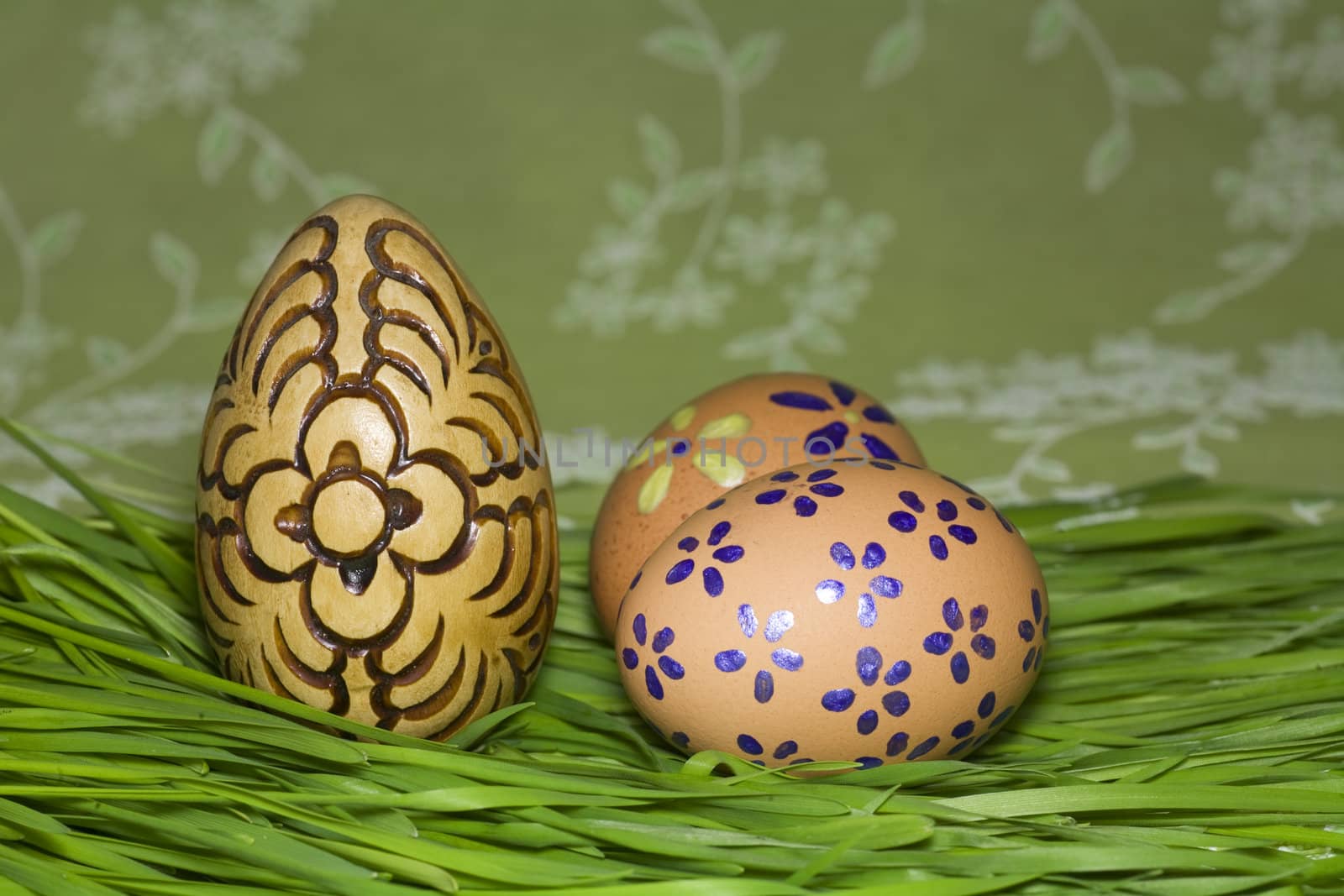 Colorful Painted Easter eggs in Fresh Green Grass 
