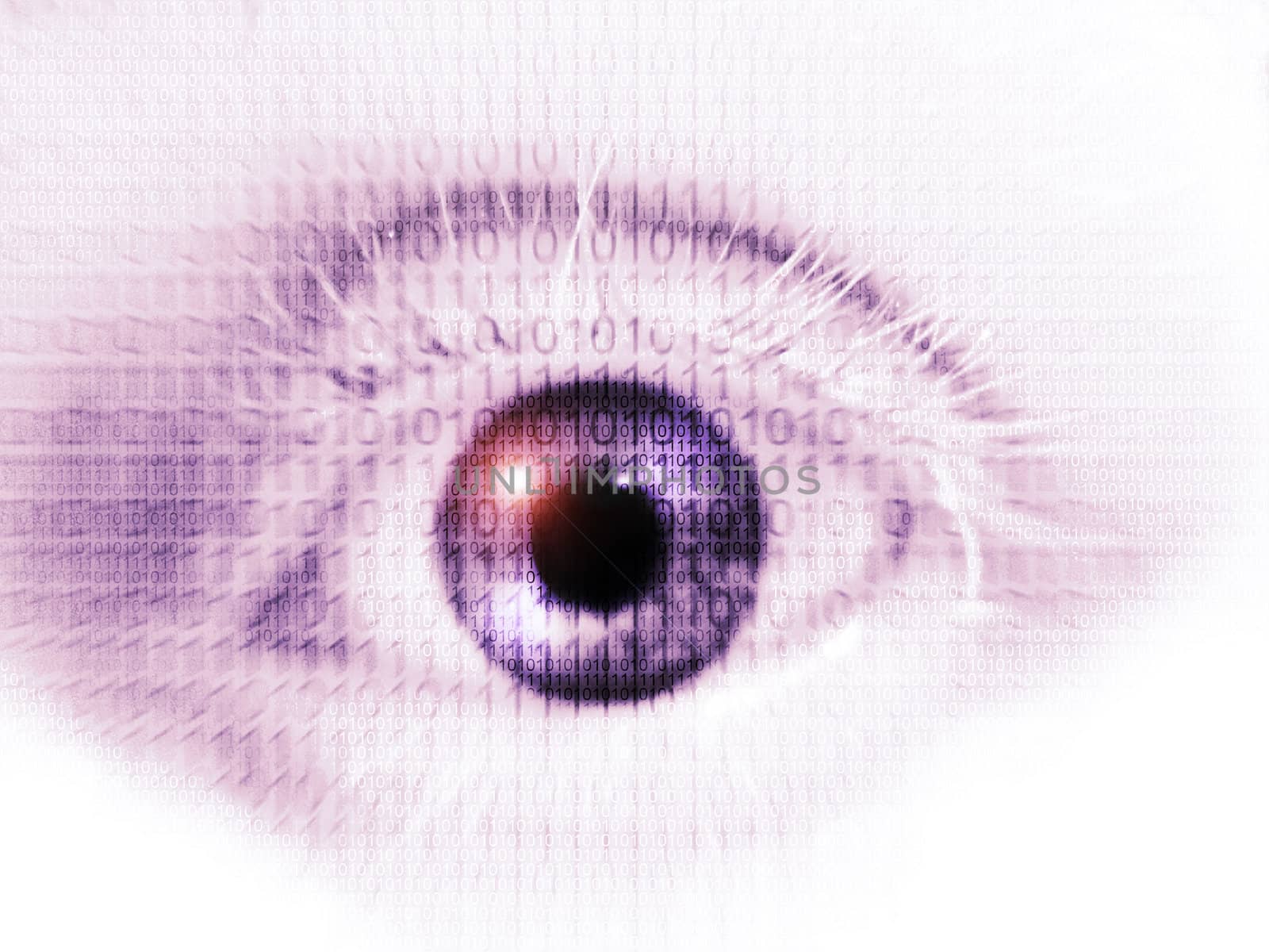 eye