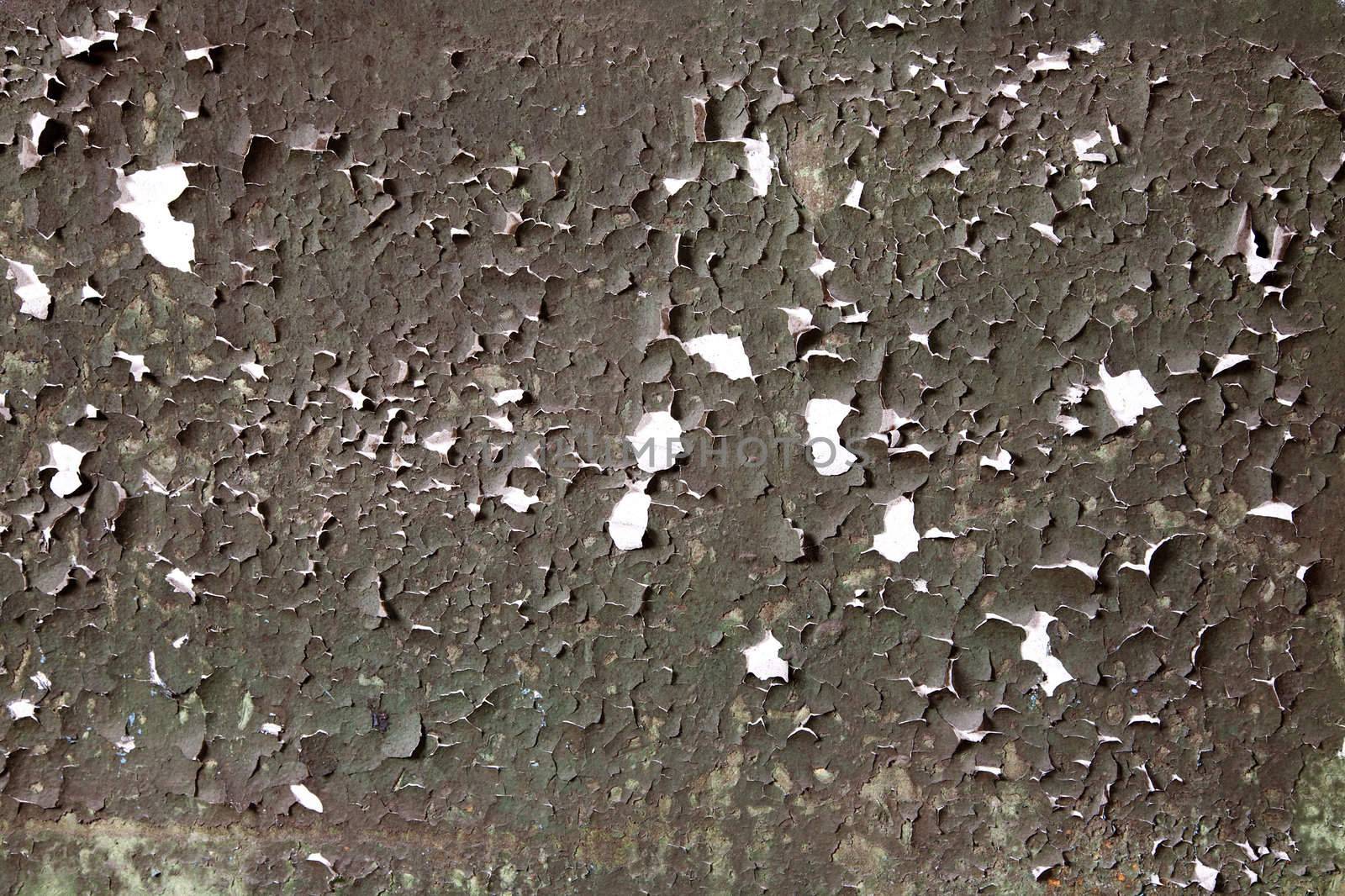 The painted peeled grunge weathered old wall
