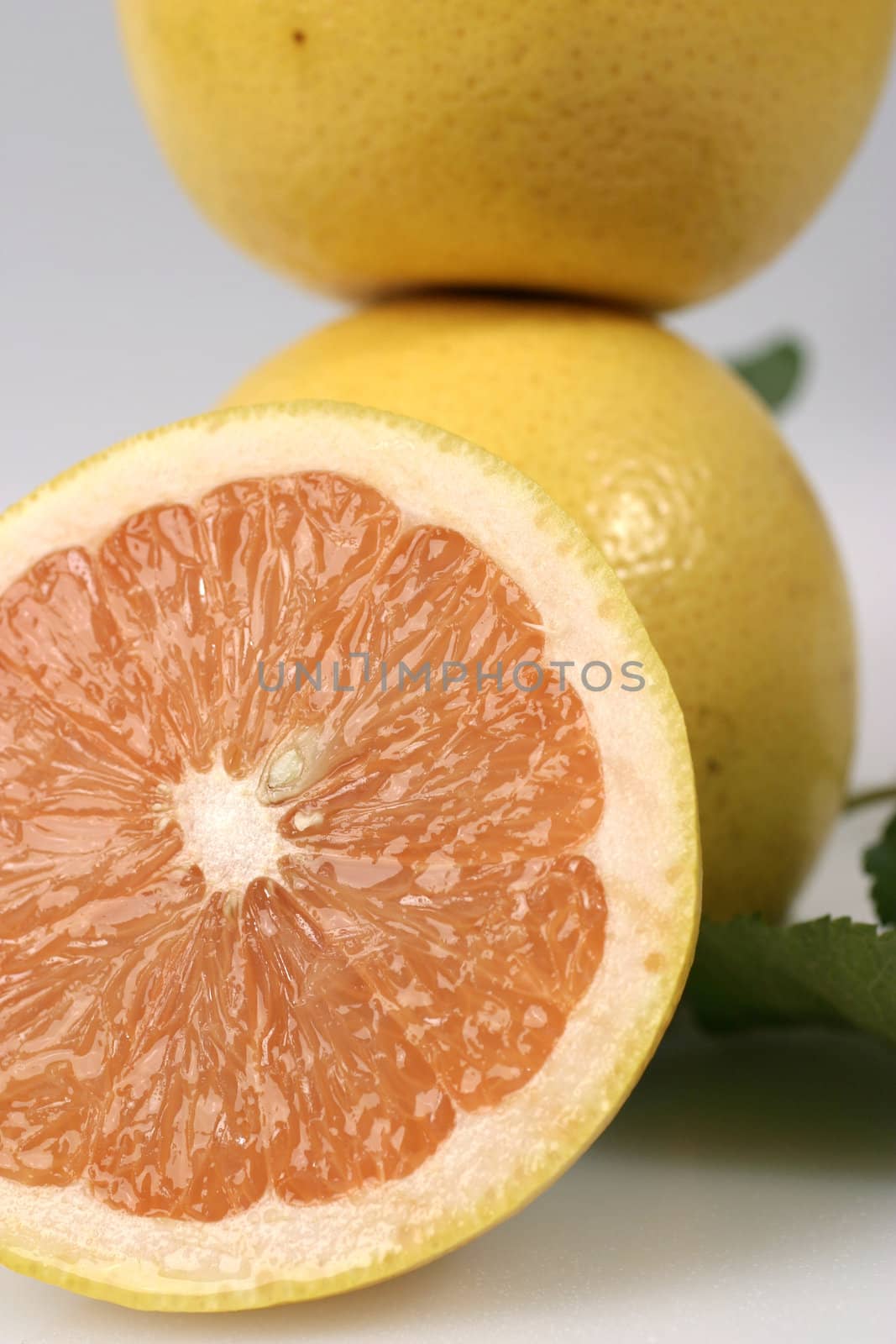 grapefruit