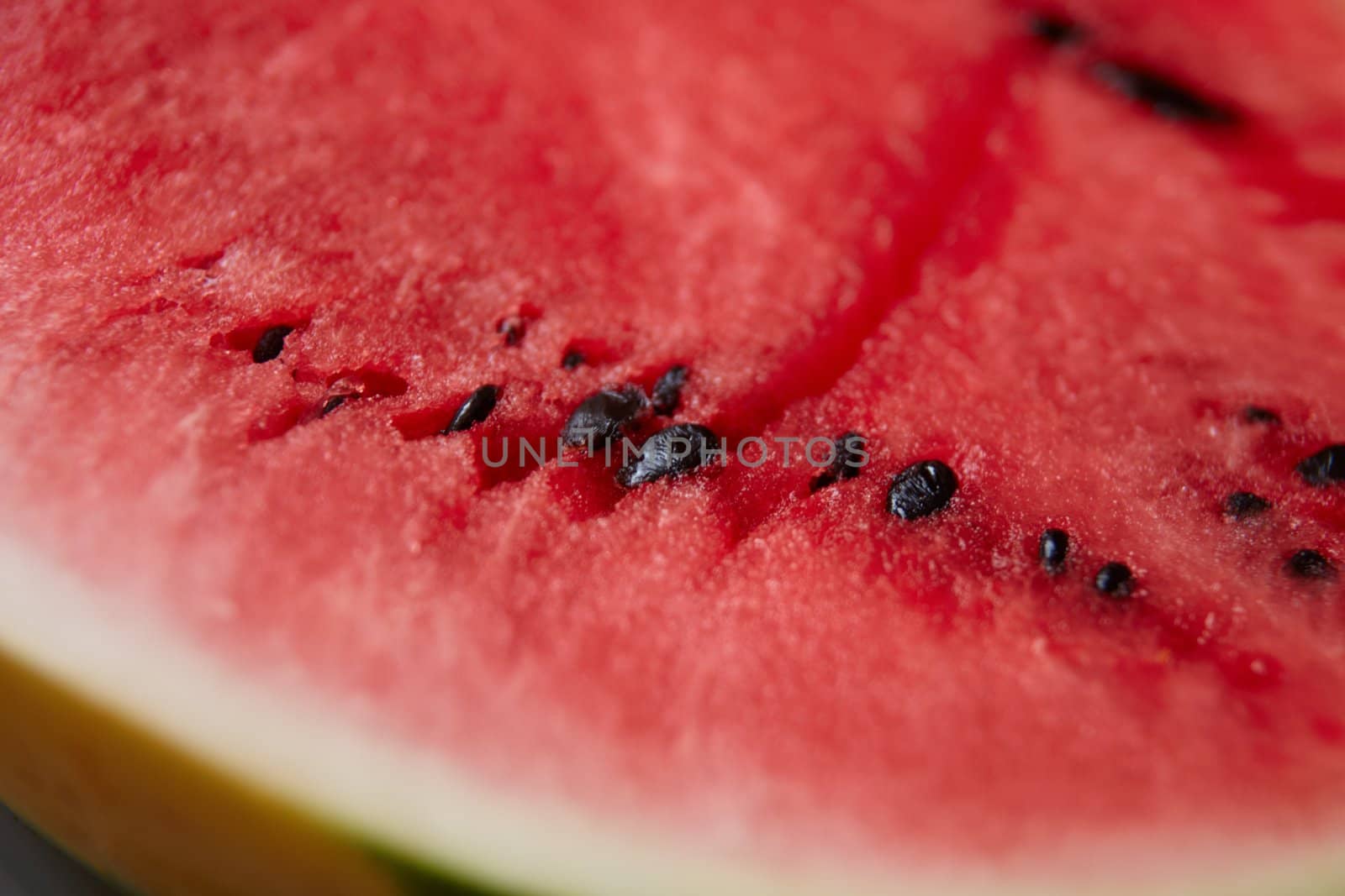 Water melon detail by Nikonas