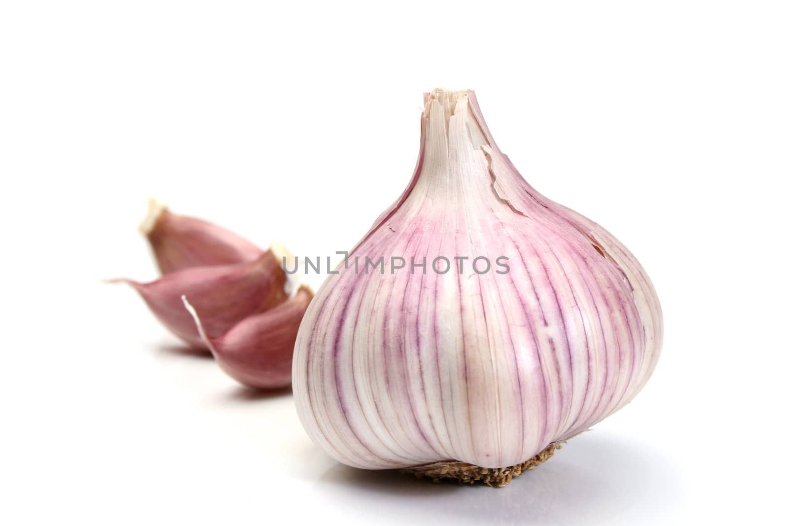 Garlic and cloves over a white background