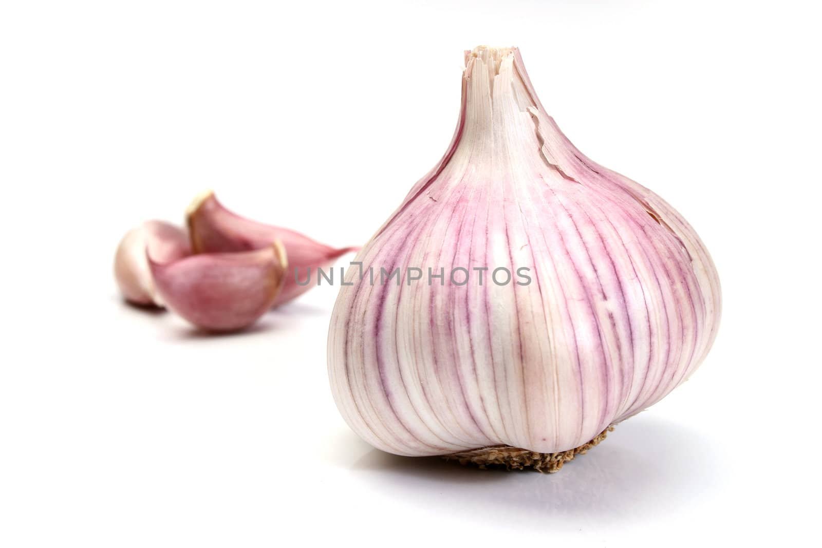 Garlic and cloves over a white background