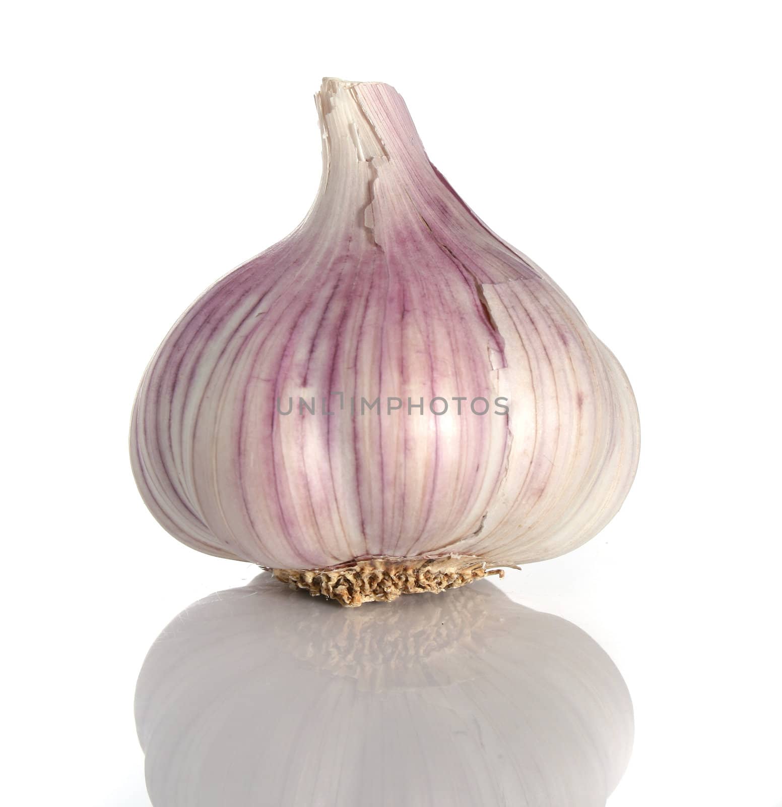 Garlic over a white background with reflection
