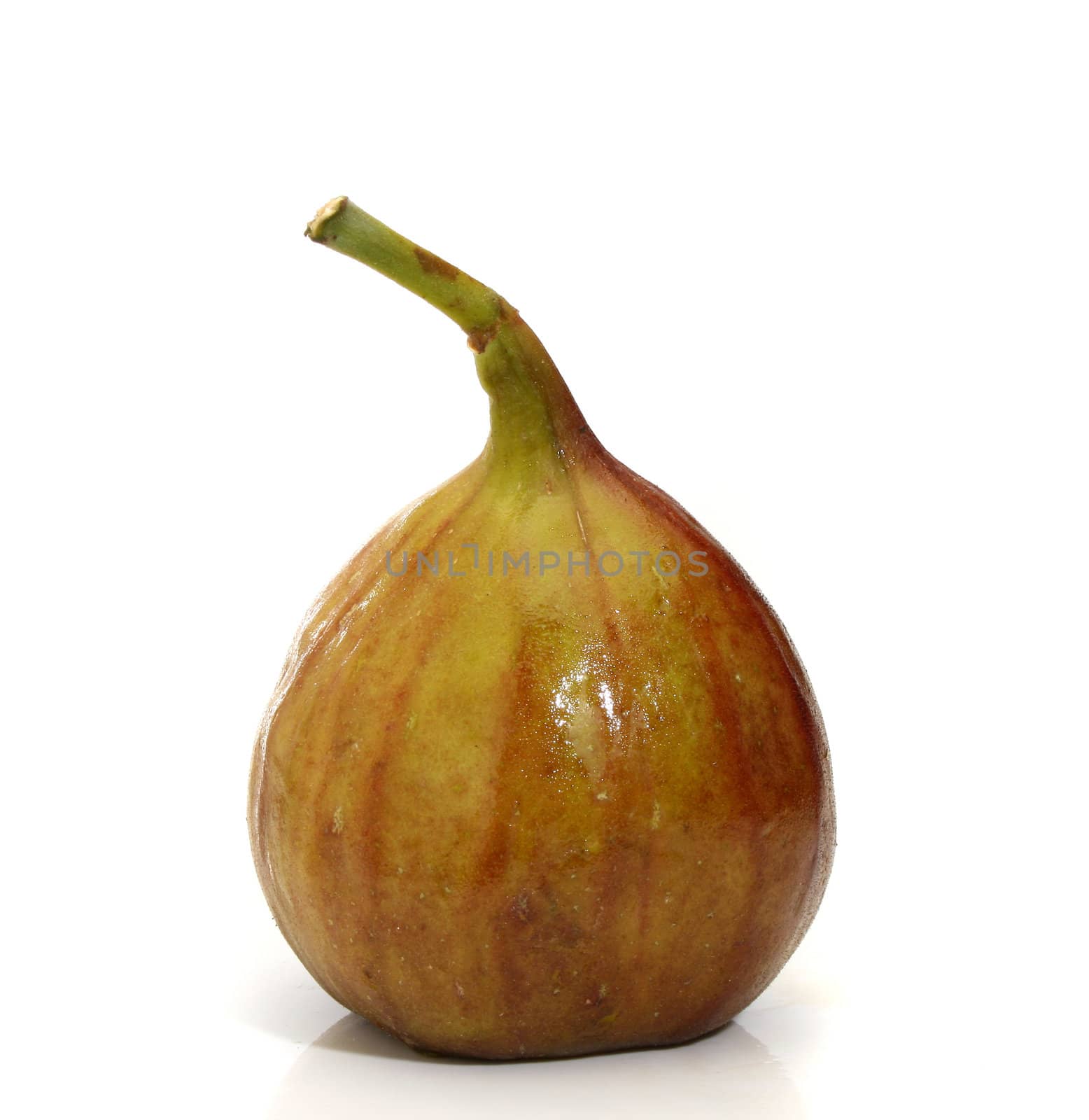 Fresh fig over a white background