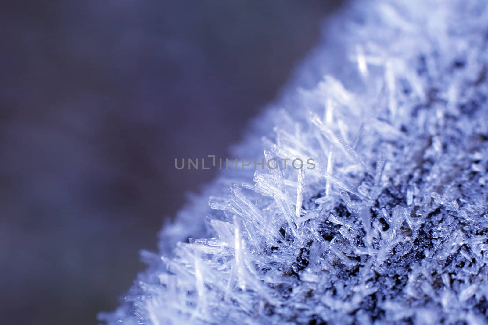 frozen ice crystals in the cold nature