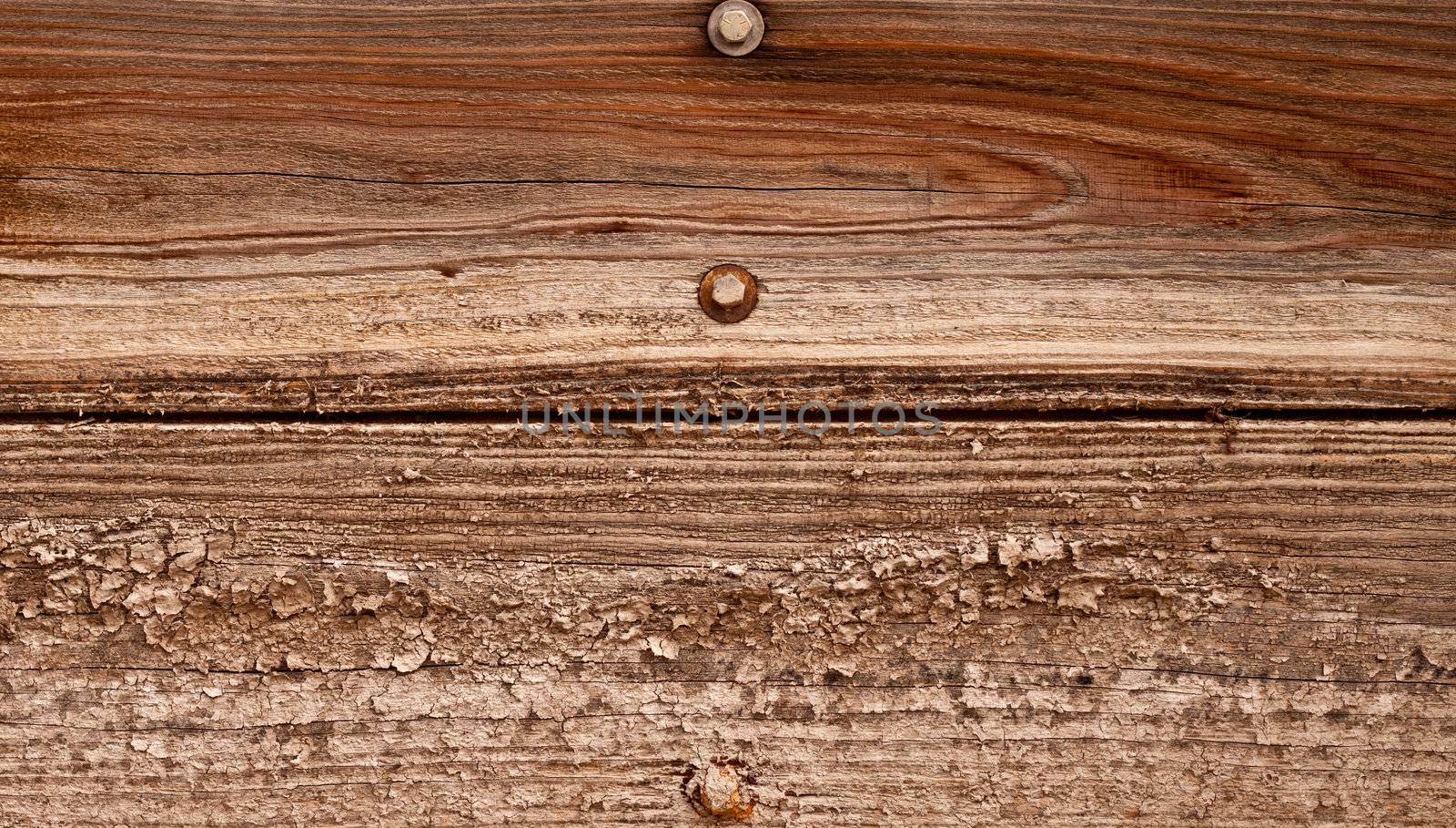 A background and or texture with peeling paint and three rusty bolts in the wood.