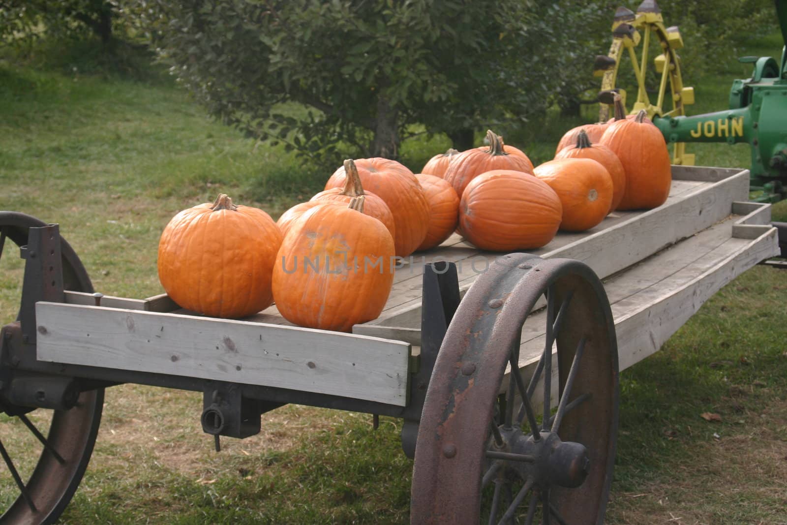Pumpkins on a wagon being towed by an old farm tractor.