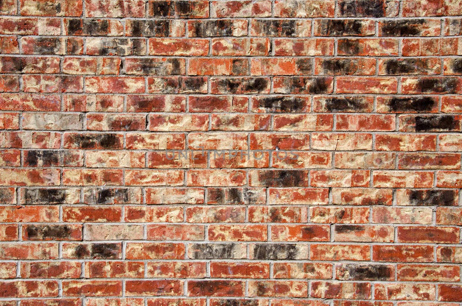 Image of a multi hued brick wall