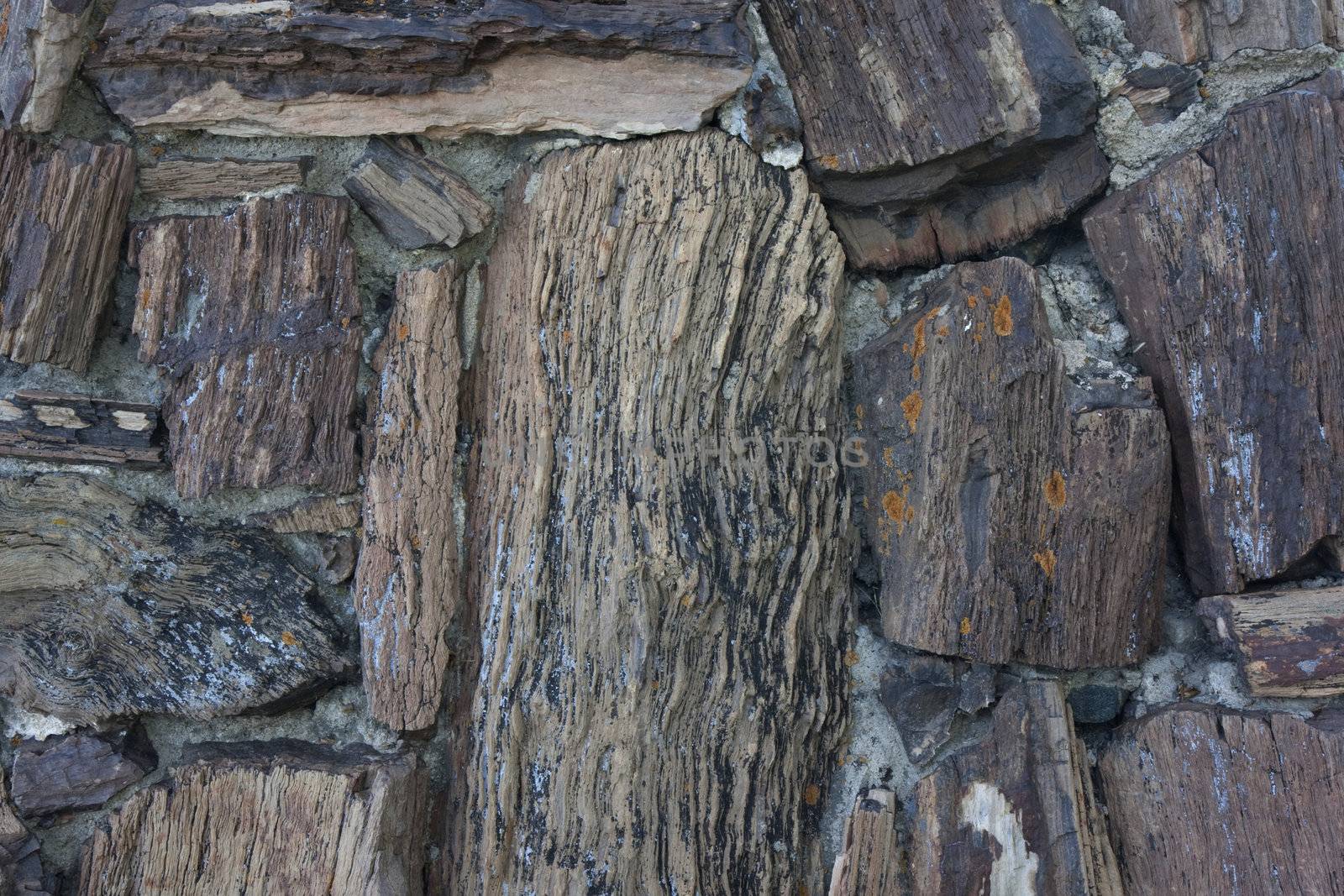 wall made of petrified wood rocks joined with concrete