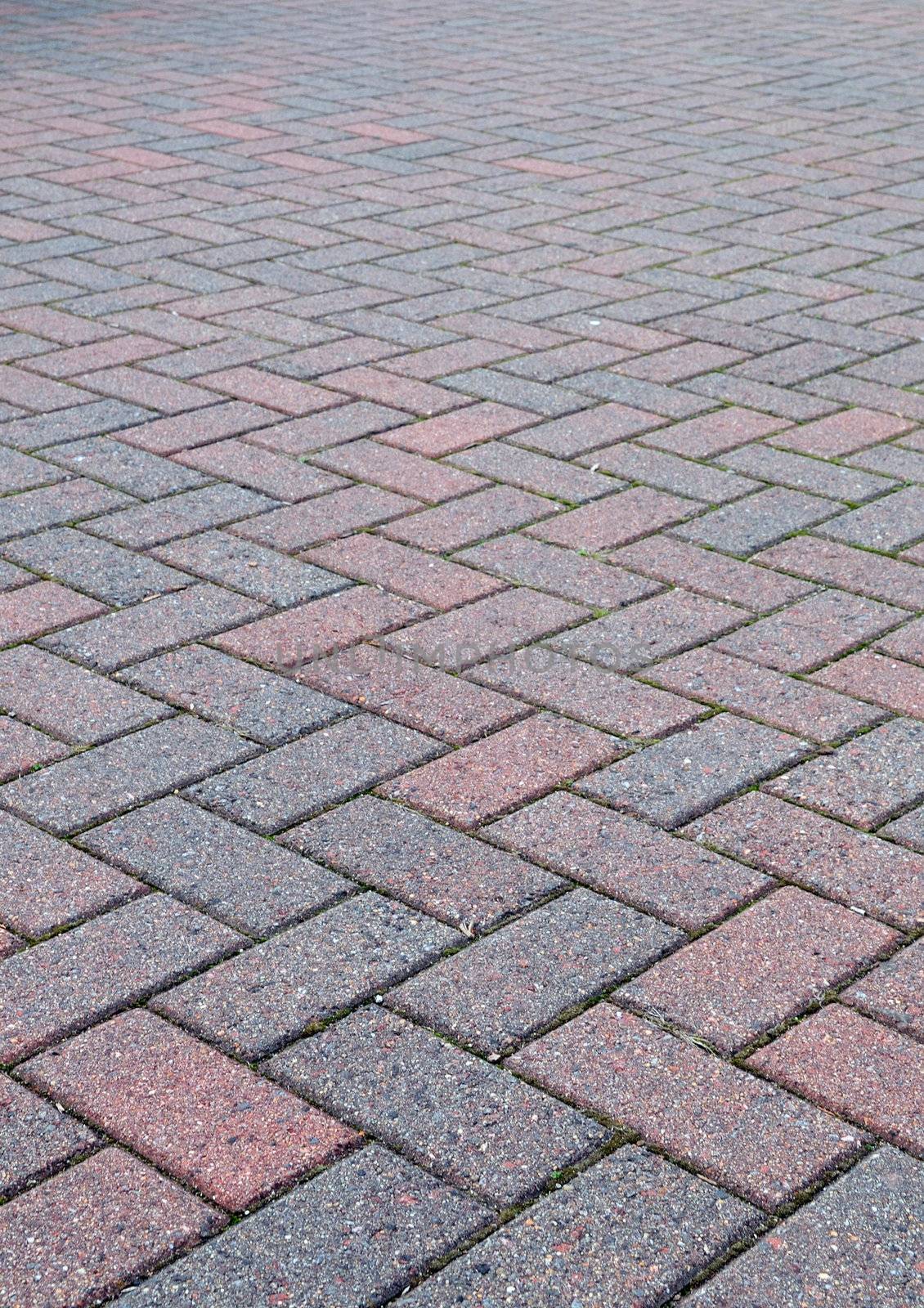 Beautiful stone patterns leading your way