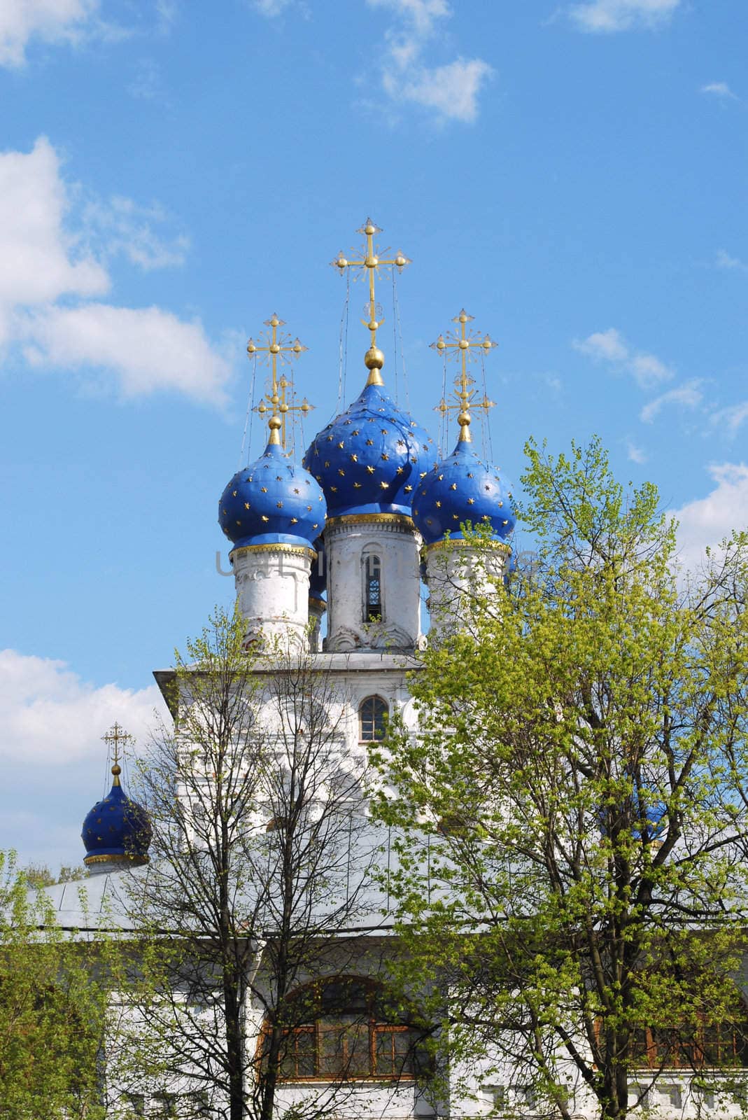 White church with blue domes in Kolomenskoye, moscow, russia