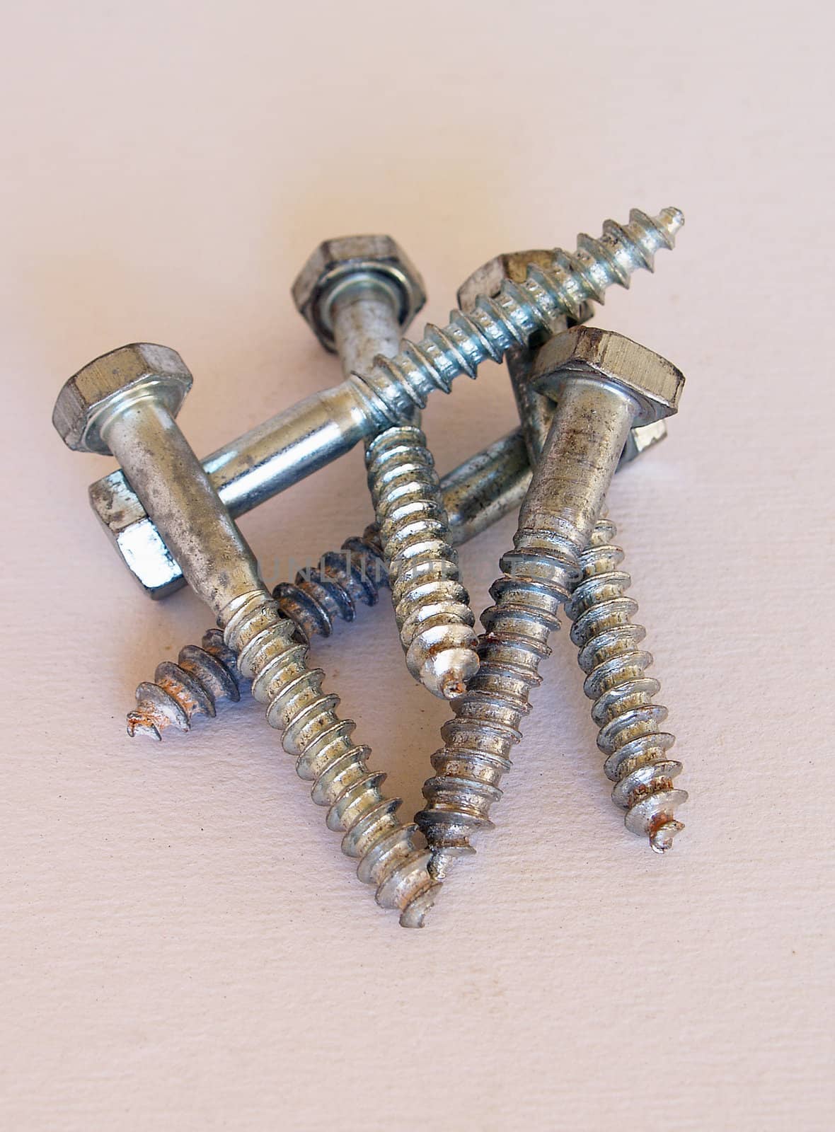 Screws by lauria
