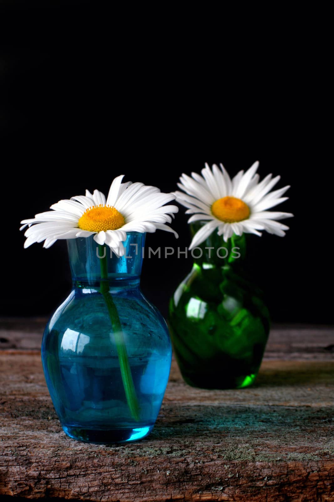 Two daisies in vases on an old piece of wood for a rustic look.