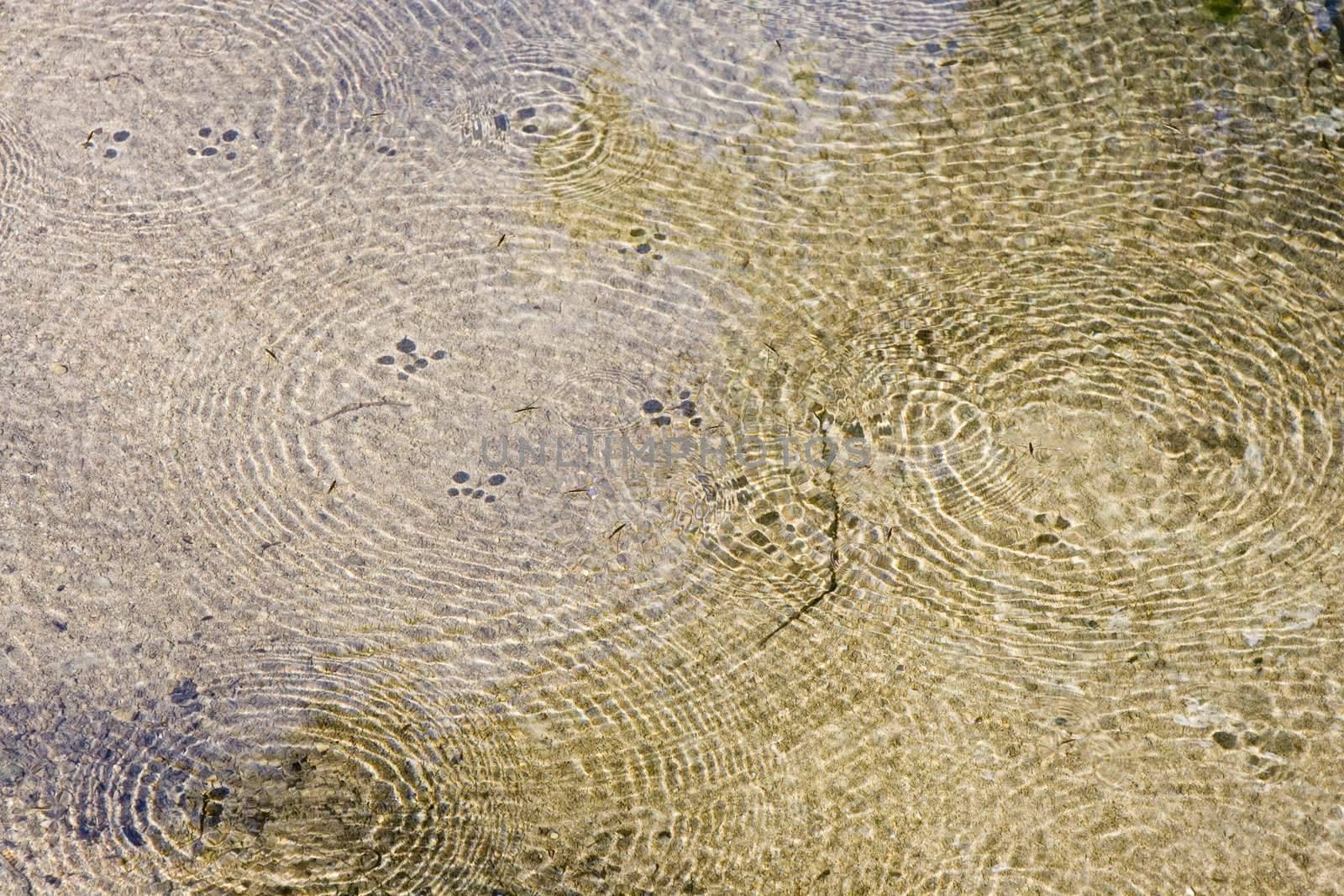 an image of a beautifull river in autumn