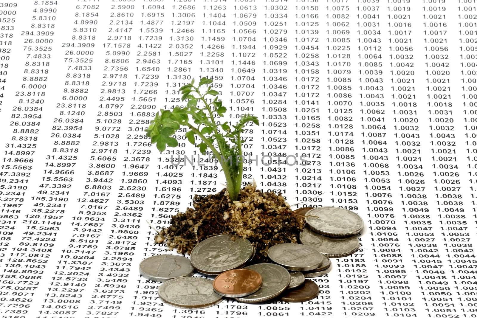 Plant seeded with numbers in progression and roots with coins - Money Growth Concept 