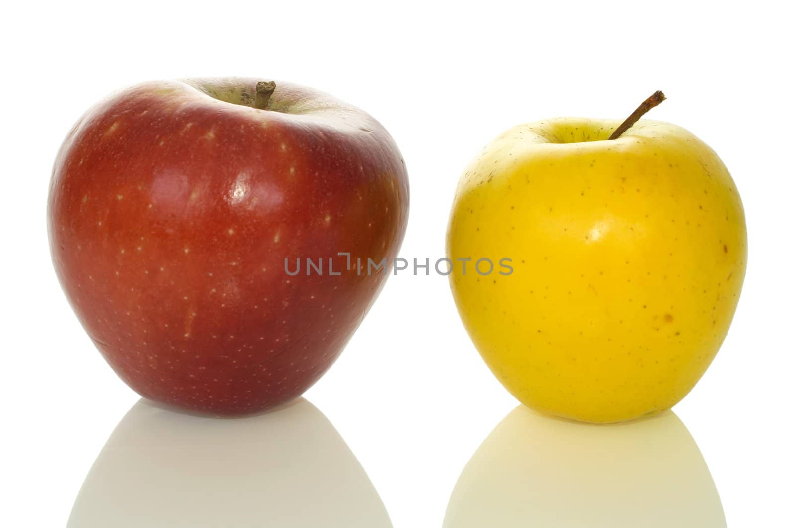 Red and yellow big apples with reflection shade