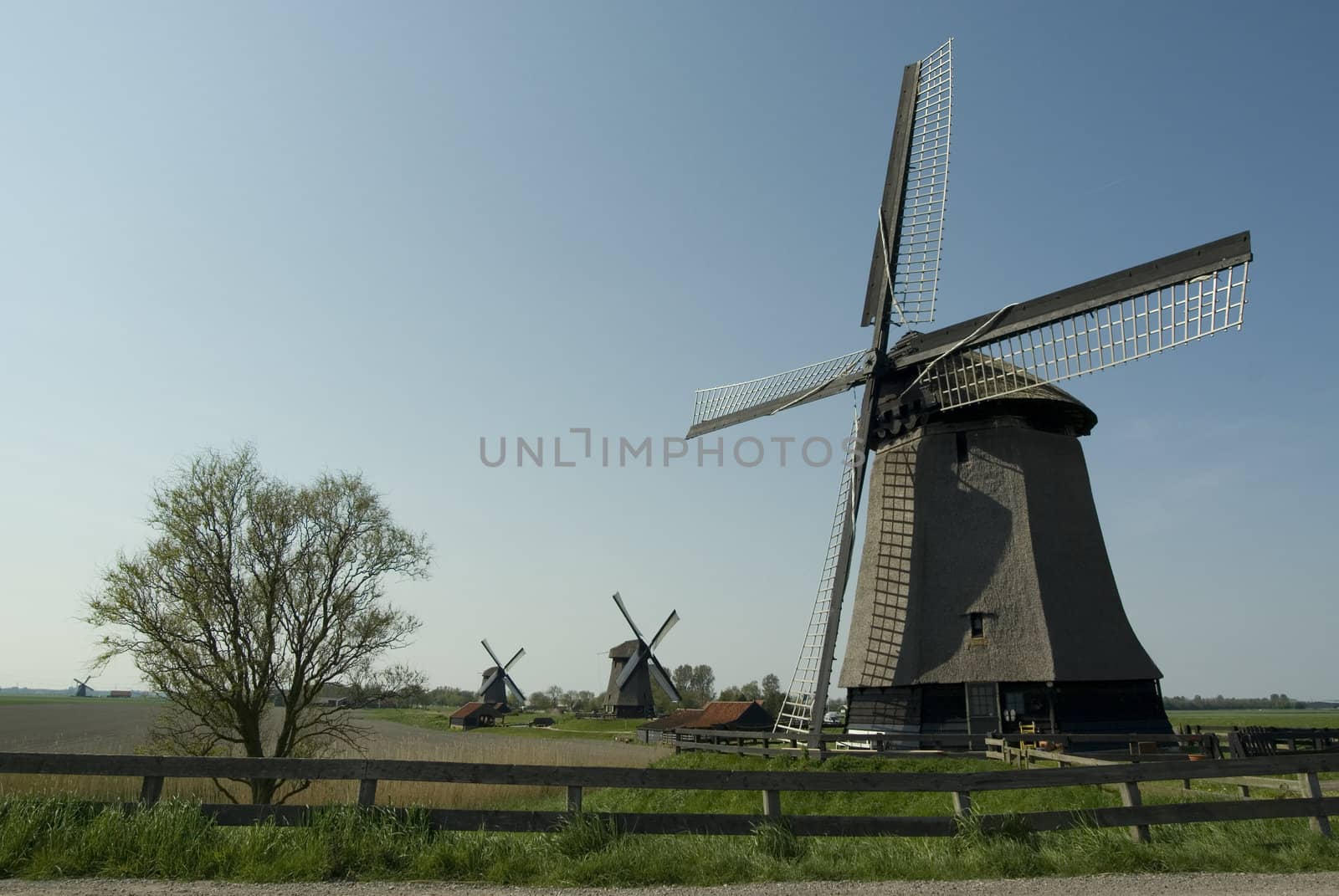 four windmill on a row by zimonzlot
