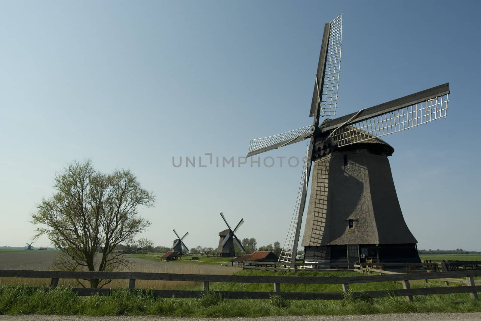 windmills in holland