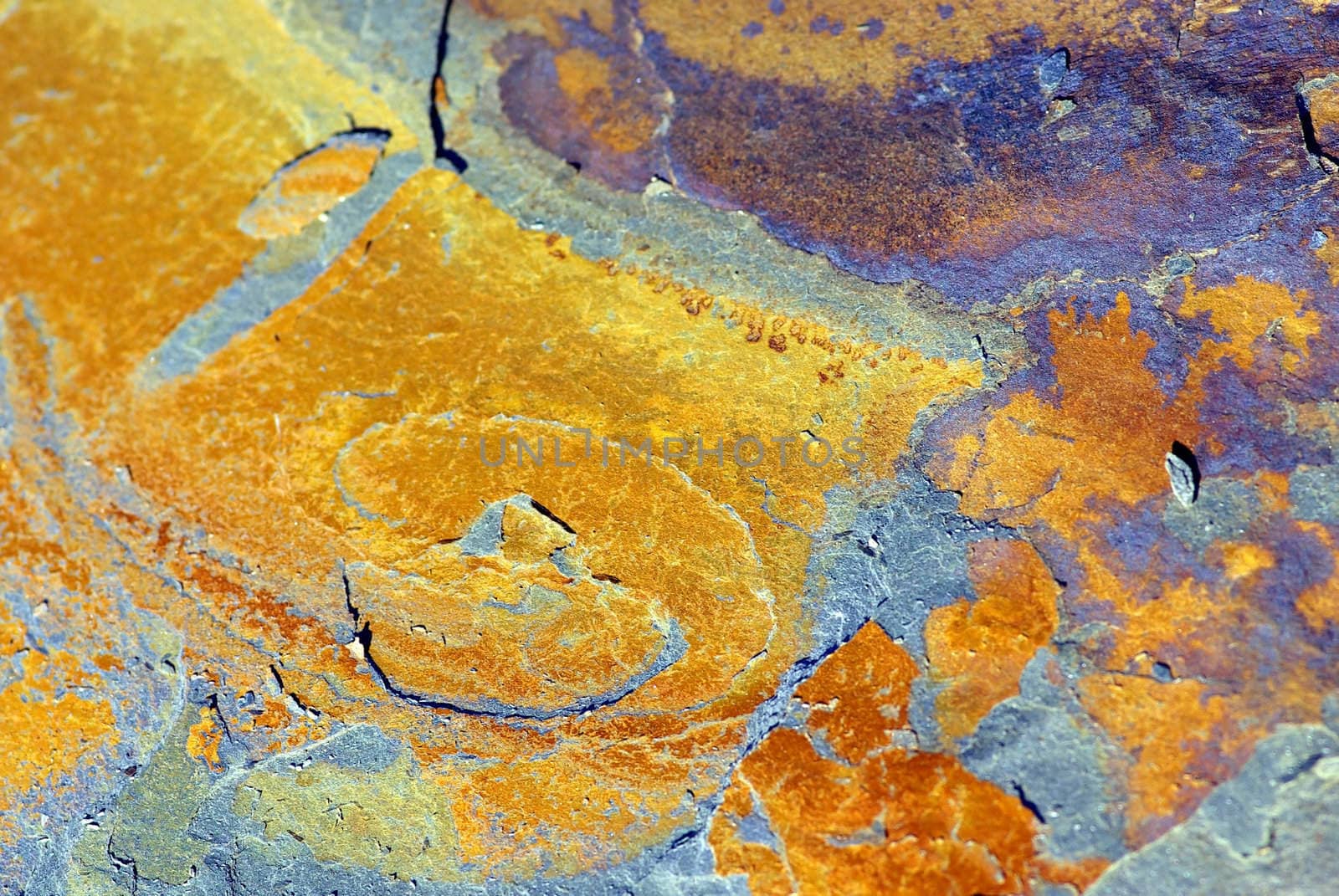 Closeup of a flagstone of shale 