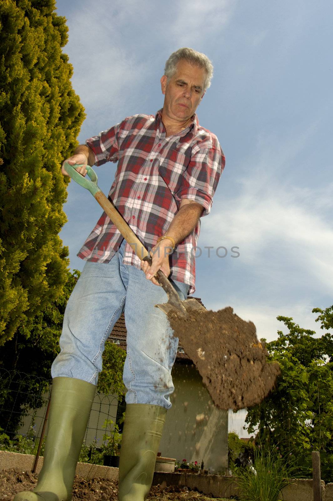 Digging the garden by Bateleur