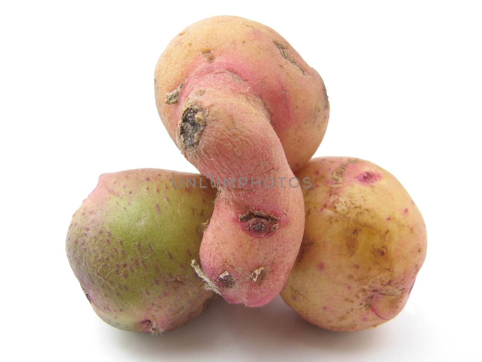 happy potatoes by Svetovid