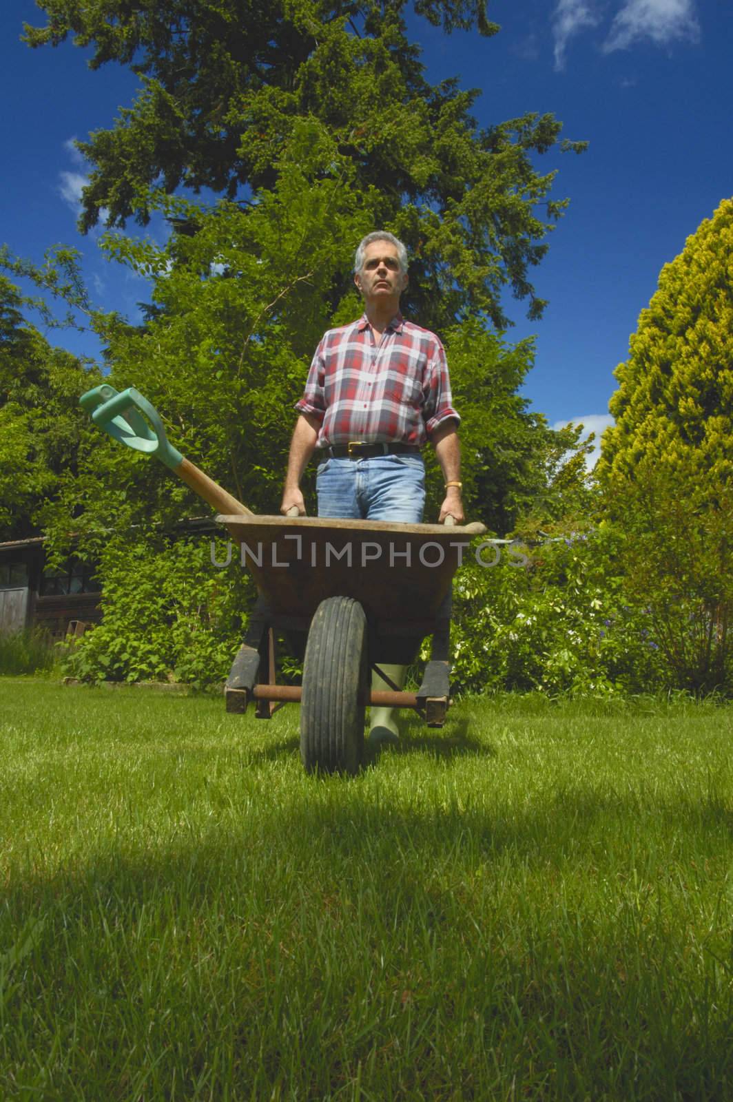 A gardener pushing a wheelbarrow with tools, taken from a low viewpoint. Space for text on the green grass in front  of wheelbarrow.