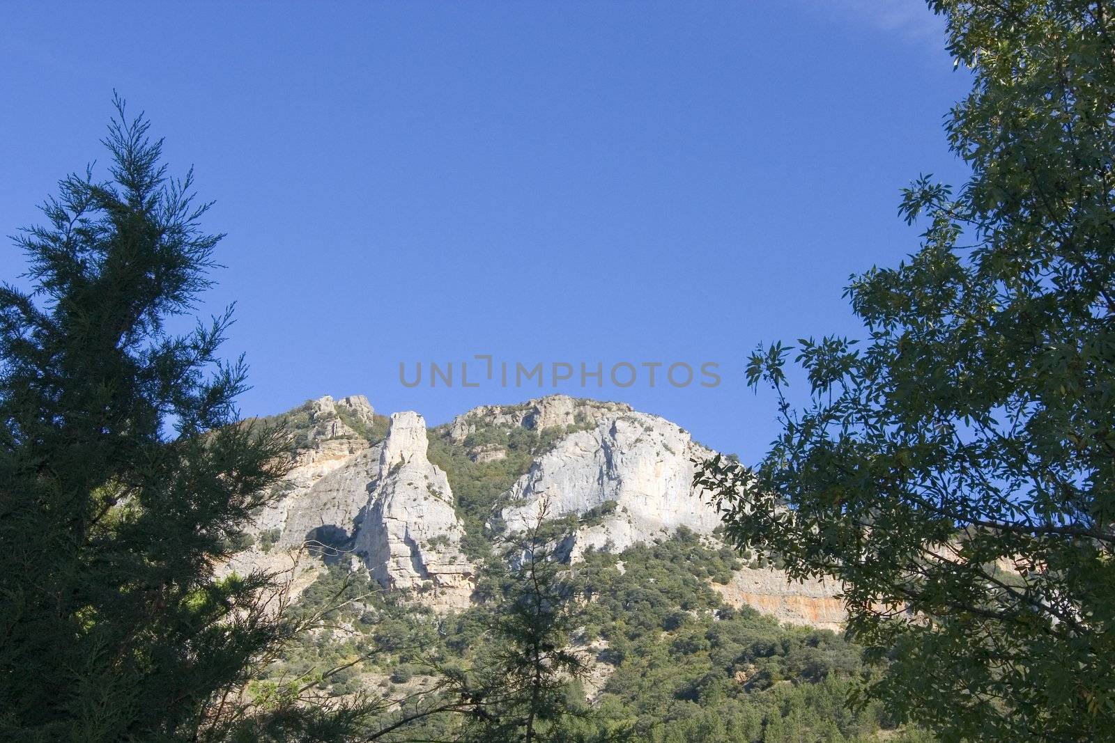 nature image of mountains an green trees and forest