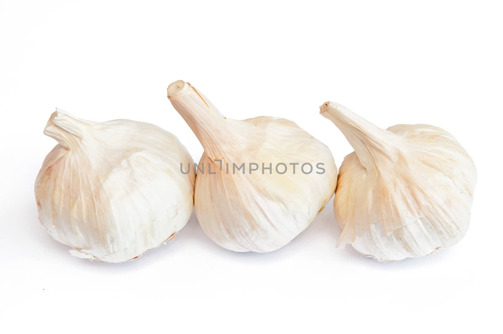 Garlic by Yaurinko