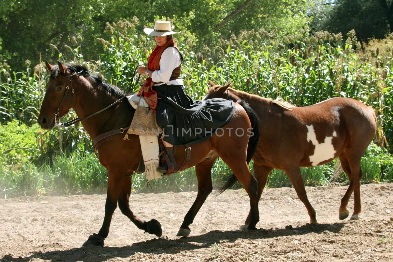 Cowgirl bringing in the horses along a dusty trail on a centuries old hacienda in New Mexico