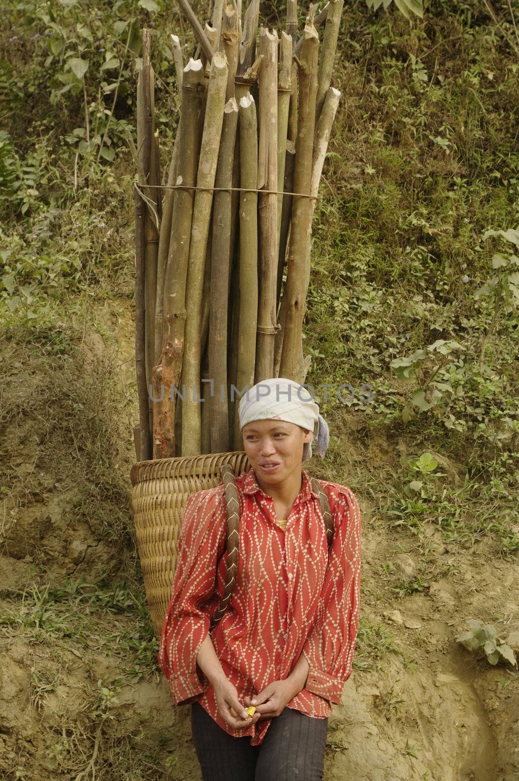 Young Thai woman returning from the firewood. In northern Vietnam all races are still cooking with wood. There is often no stove but a fireplace that needs a lot of wood.