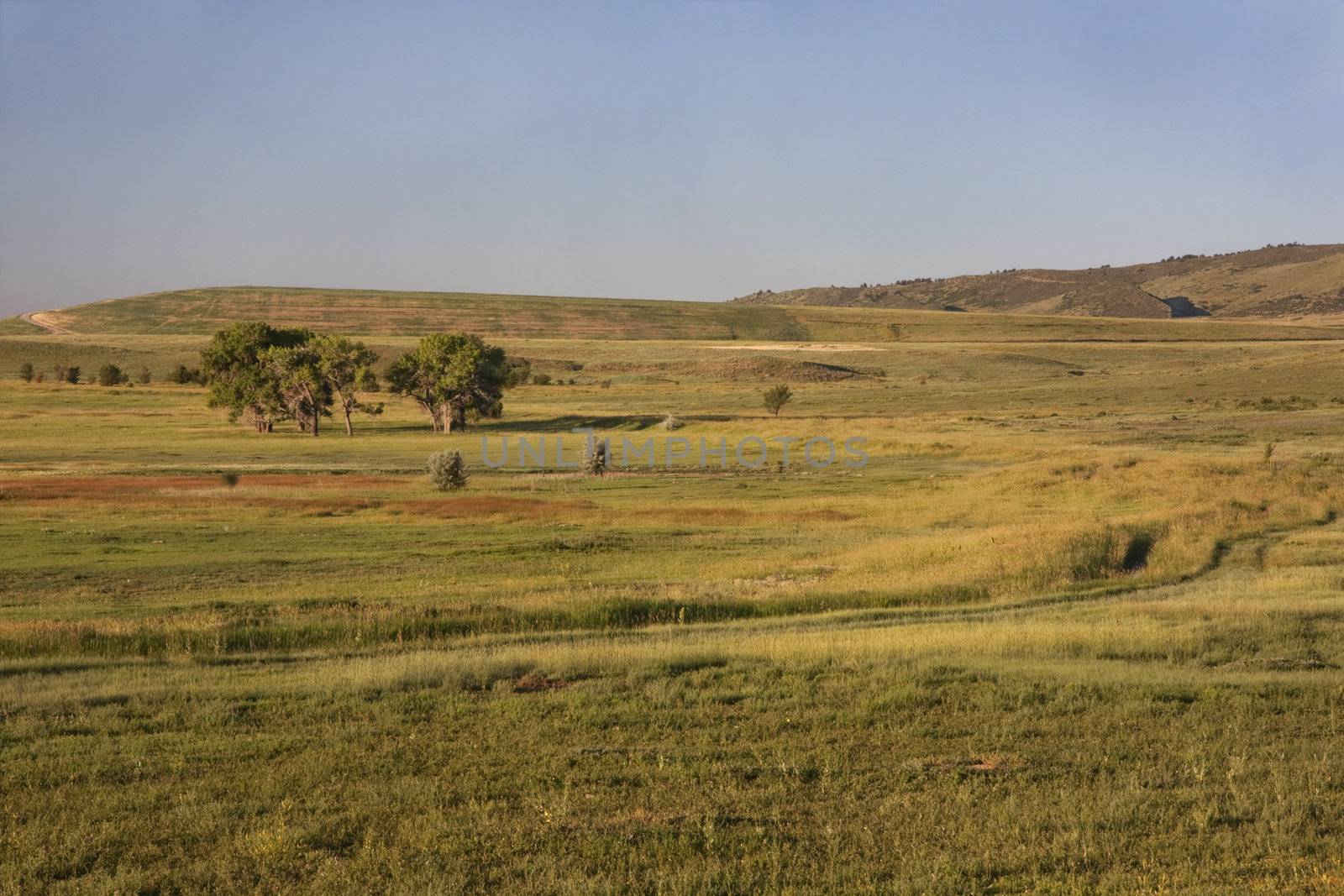 irrigation ditch and a meadow at Colorado foothills near Fort Collins at sunrise