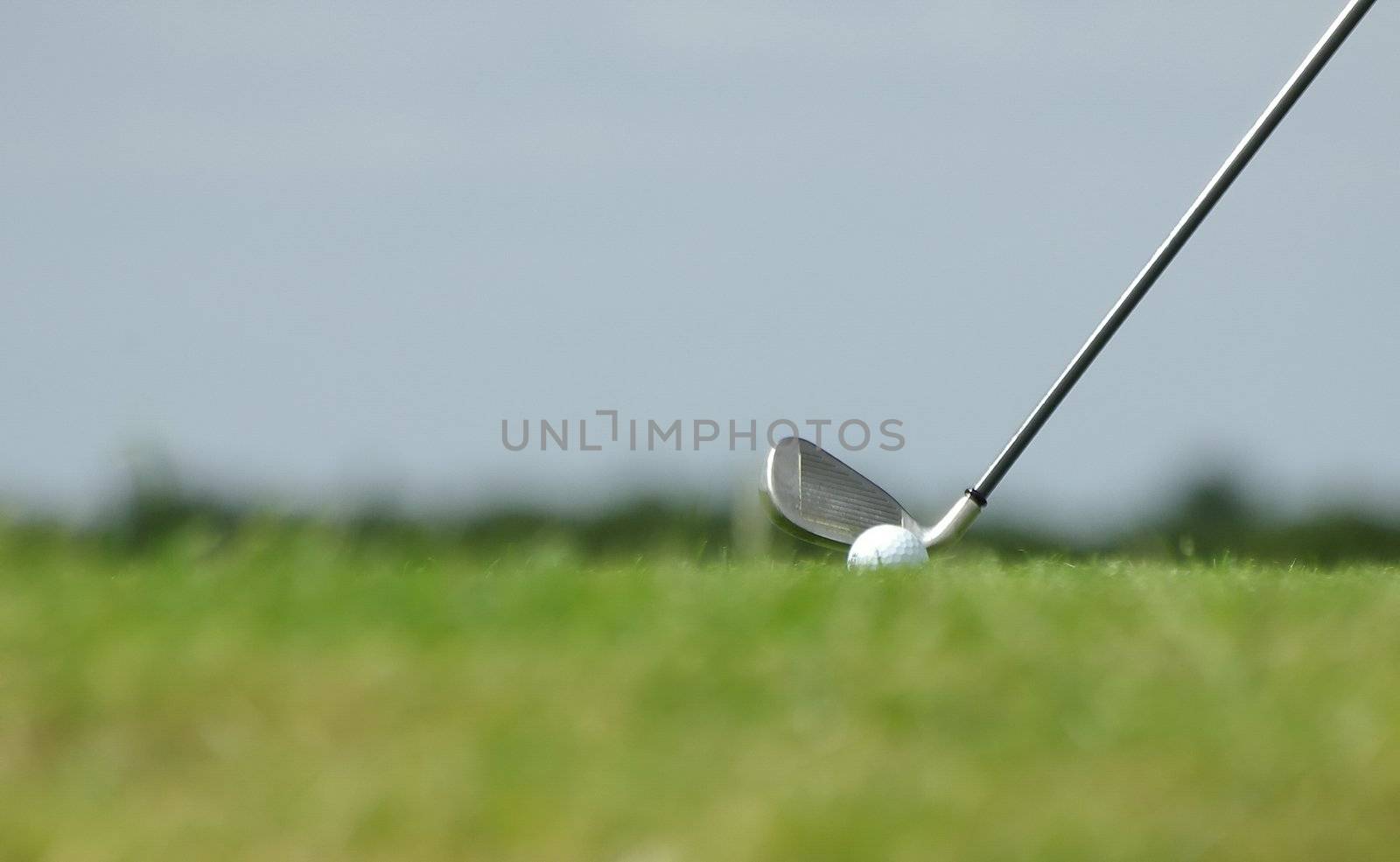 Tee of the golf course by FotoFrank