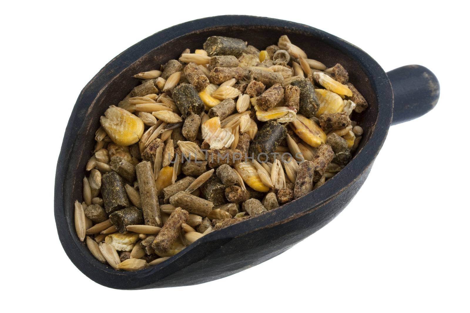 horse feed with corn, barley, oats grain and suplement granulates on a rustic wooden scoop isolated on white