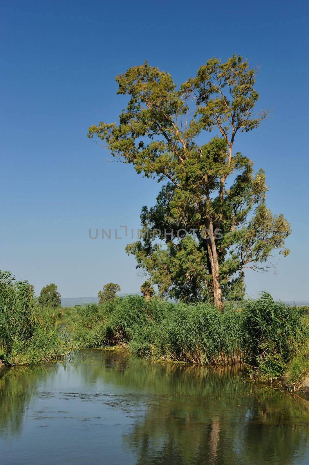Small countryside river under a clear morning blue sky