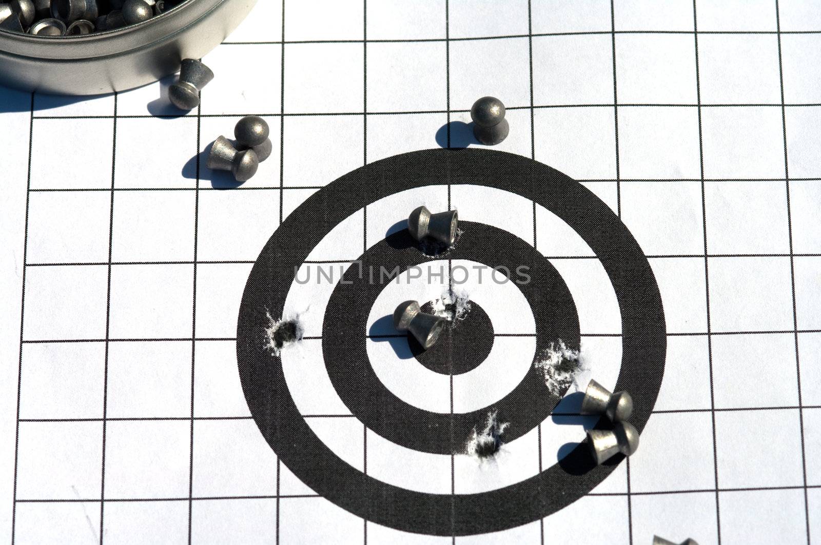 Target and bullets. by kromeshnik