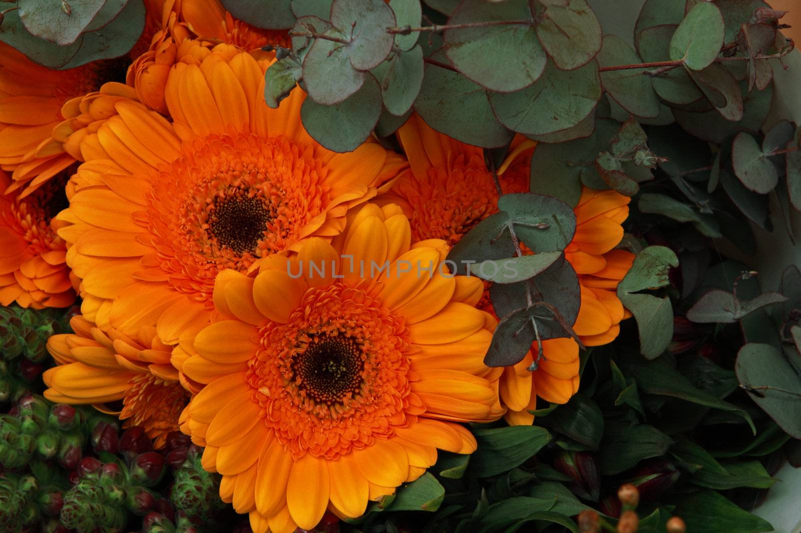 bouquet of orange flowers by catolla