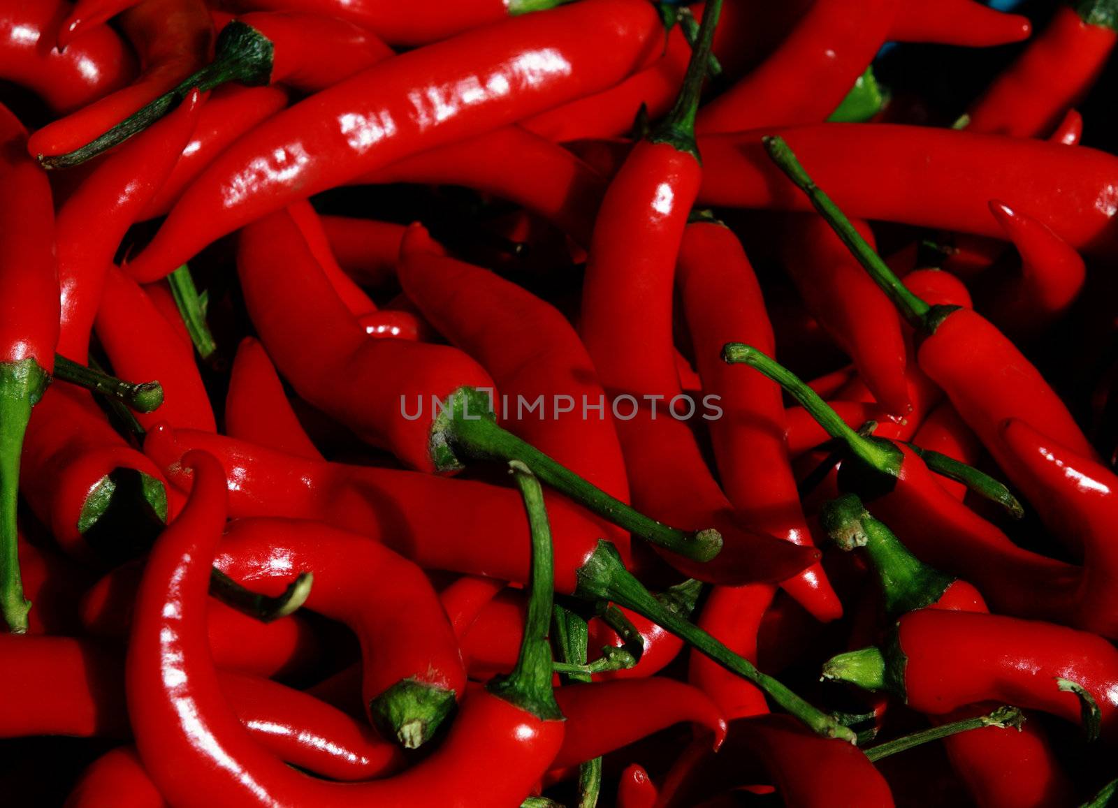red hot chilli pepper by catolla