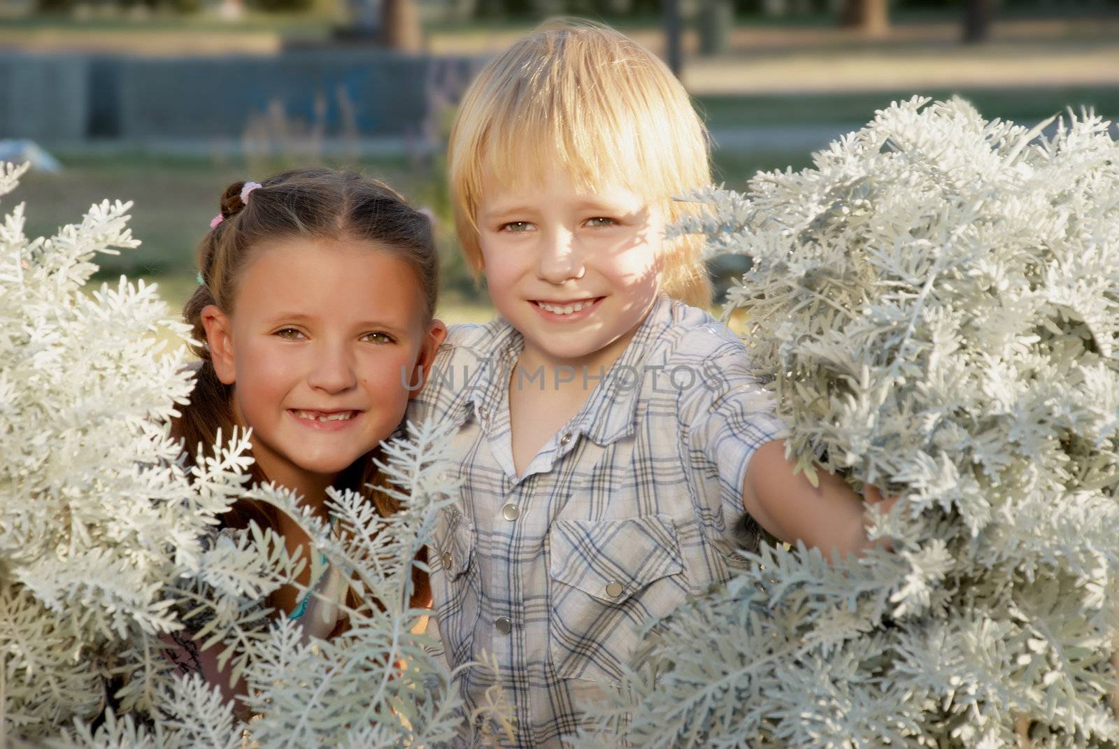 Children played in park.Portrait