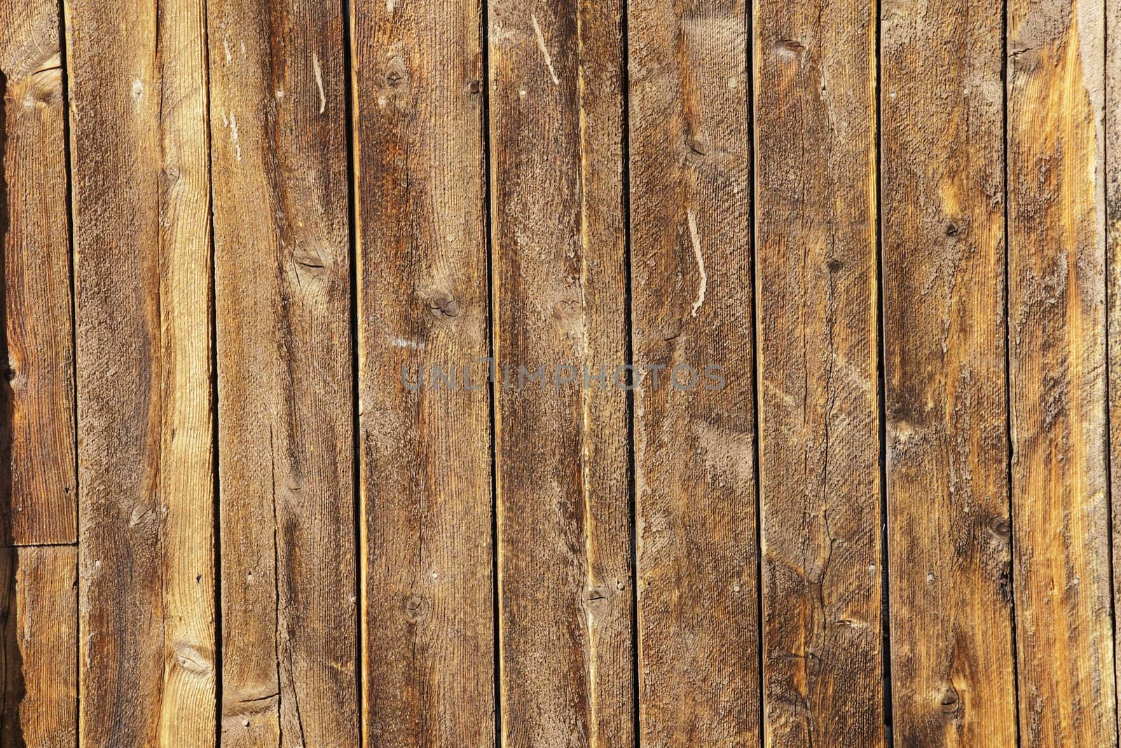 Old weathered wood planks off the side of a cabin deep in the forest, great texture details.