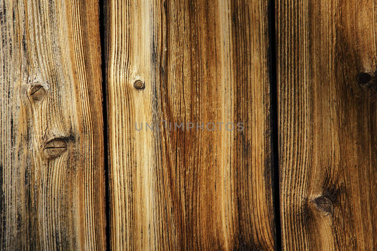 Weathered wood plank of an old cabin, great background and texture.