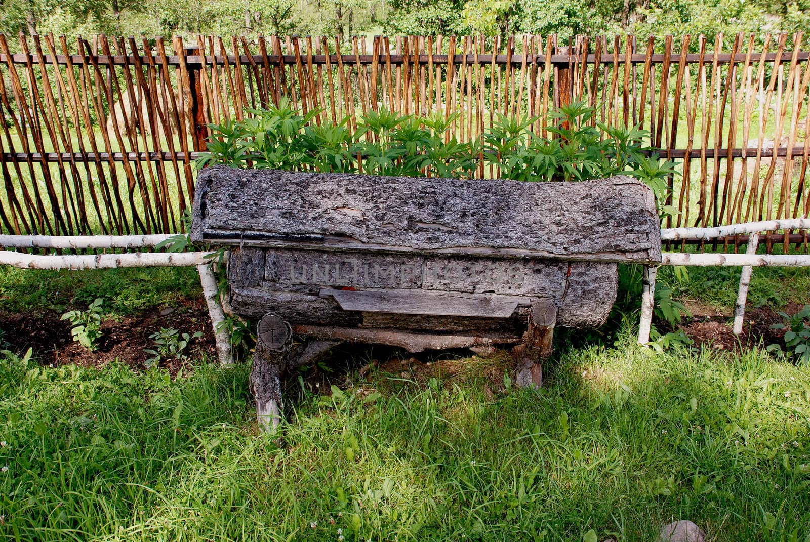 Ancient horizontal hive near wooden fence in beekeeping museum