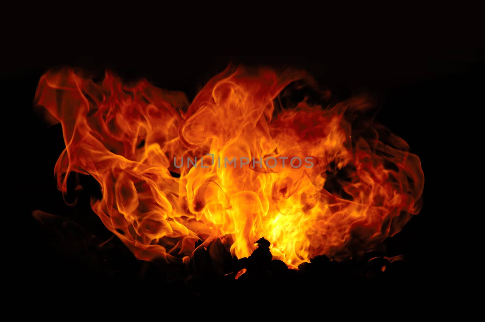 Fire isolated on a black background.