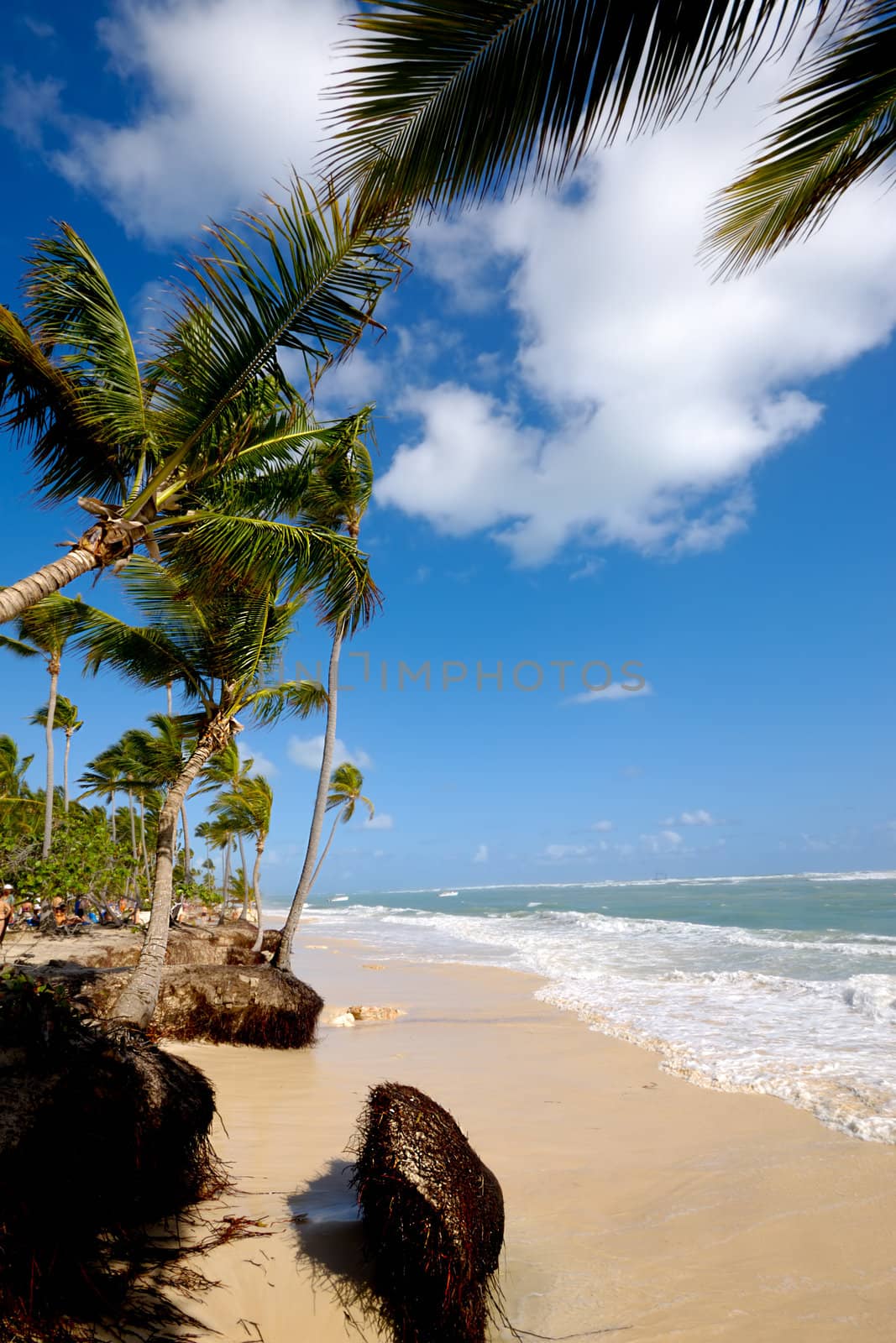 Palms hanging over exotic caribbean beach with the coast in the background.